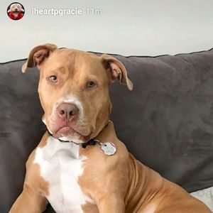 Meet your Posher, Douglas